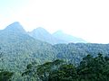 Tam Dao mountain range