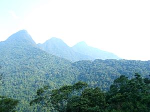 Tam Dao mountain range