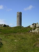 The Herring Tower on Langness Isle of Man - geograph.org.uk - 490645.jpg