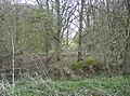 Titsal Wood - geograph.org.uk - 978986