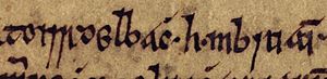 Toirdelbach Ua Briain (Oxford Bodleian Library MS Rawlinson B 488, folio 18v)