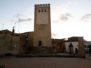 Torre Canals.jpg