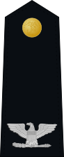 US Marine O6 shoulderboard dress