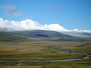 Ukok Plateau 2