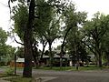 University Neighborhood Historic District - 11th and Garfield