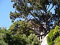 Weston Havens House from downhill