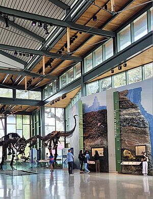 Witte Museum Lobby (cropped)