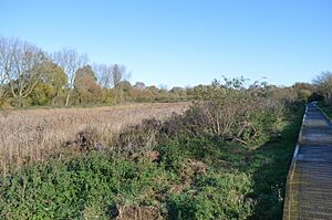 Woodston Ponds 5