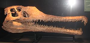 Angistorhinus