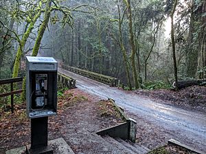 Aptos Creek pay phone