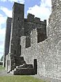 Bective Abbey Side