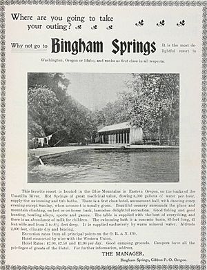 Bingham Springs Resort ad