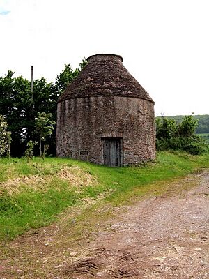 Blackford Dovecote - geograph.org.uk - 177211