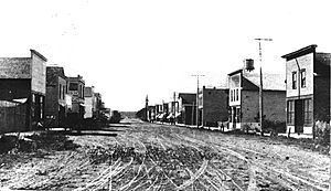 Browerville MN 1910