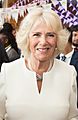 CHOGM Commonwealth Big Lunch on April 17, 2018 - 007 (cropped)