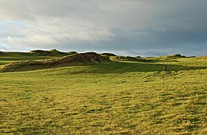 Castle Course, Kinkell Braes - geograph.org.uk - 322893