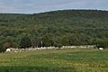 Cemetery, Tyringham MA