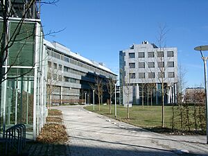 Chemistry faculty of the LMU 2003