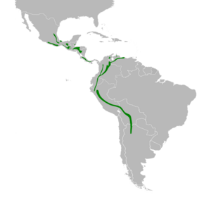 Chlorospingus flavopectus map.svg