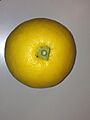 Citrus yuukou3