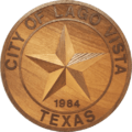 Official seal of Lago Vista, Texas