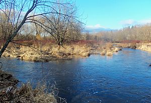Confluence of Quassaick and Bushville creeks, Newburgh, NY