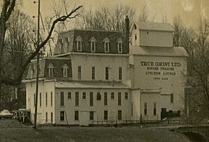 Cortright-Van Patten Mill Homer