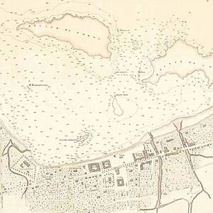 Dilly's Port and City Plan, Second Edition, 1895