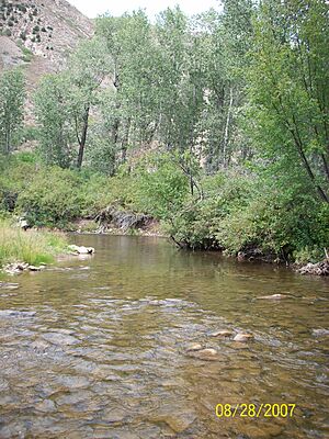 Duchesne County, UT, USA - panoramio