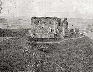 Dundonald, View of Castle, 1903