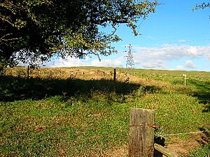 Electricity Pylons on Cockroost Hill - geograph.org.uk - 54128