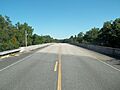 FL CR 751 Alapaha River bridge south01