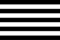 Flag of JUI