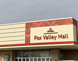 Fox Valley Mall 2019 1.jpg