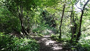 Fox Wood, Ealing 4