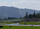 Gibbon River at Madison in Yellowstone.JPG