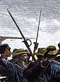 Gingidlovu-2 (cropped to cutlass bayonets)