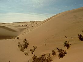 Gobi Desert.jpg