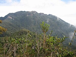 Gunung Tahan. Snapped from Gunung Tangga Lima Belas