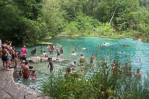 Ichetucknee Springs Headspring