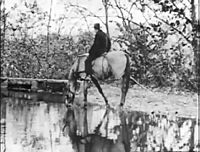 Informal Overflow or Mule Drink on Chesapeake and Ohio Canal
