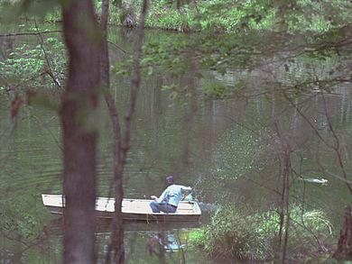 Jimmy Carter in boat chasing away swimming rabbit, Plains, Georgia - 19790420