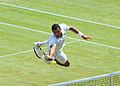 Jo-Wilfried Tsonga Wimbledon 2011 jump volley