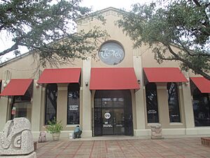 Laredo, TX, Center for the Arts IMG 7674
