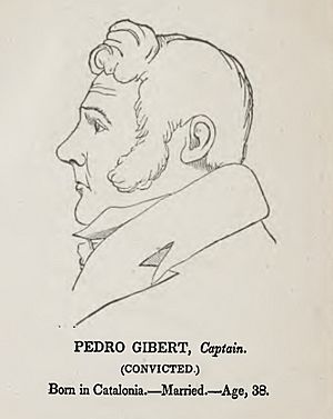 Likeness of Pedro Gibert