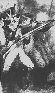 LineInfantry1812