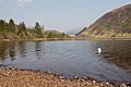 Loch Dughaill - geograph.org.uk - 167015