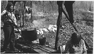 Maple sugar industry - NARA - 285763