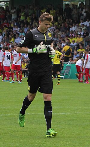 Mitchell Langerak 2013 in Wilhelmshaven