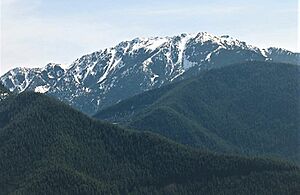 Mt. Townsend from Mt. Zion